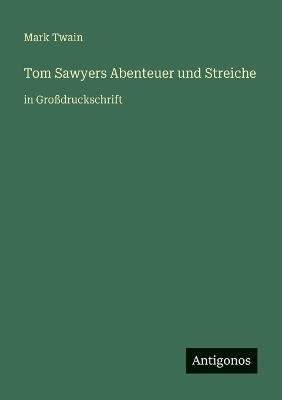 Tom Sawyers Abenteuer und Streiche: in Großdruckschrift - Mark Twain - cover