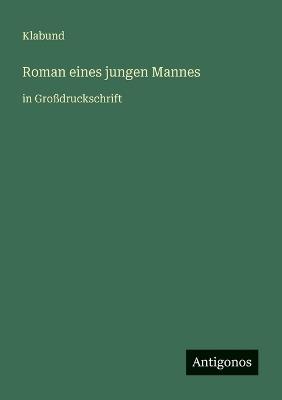 Roman eines jungen Mannes: in Großdruckschrift - Klabund - cover