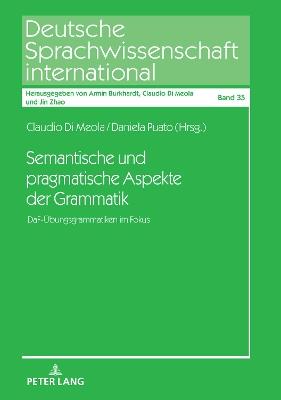 Semantische und pragmatische Aspekte der Grammatik: DaF-Uebungsgrammatiken im Fokus - cover