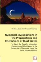 Numerical Investigations in the Propagations and Interactions of Blast Waves