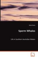 Sperm Whales - Life in Southern Australian Waters