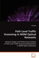 Path Level Traffic Grooming in WDM Optical Networks - Srivatsan Balasubramanian - cover