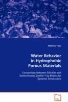 Water Behavior in Hydrophobic Porous Materials - Matthieu Fleys - cover