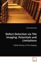 Defect Detection via THz Imaging: Potentials and Limitations