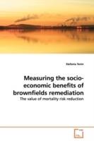 Measuring the socio-economic benefits of brownfields remediation