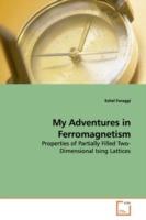 My Adventures in Ferromagnetism