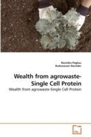 Wealth from agrowaste-Single Cell Protein
