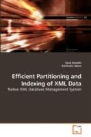 Efficient Partitioning and Indexing of XML Data - Saud Alotaibi,Salahadin Adam - cover