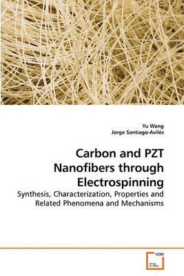 Carbon and PZT Nanofibers through Electrospinning - Yu Wang,Jorge Santiago-Aviles - cover