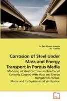 Corrosion of Steel Under Mass and Energy Transport in Porous Media - Raja Rizwan Hussain,T - cover