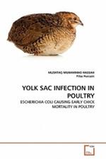Yolk Sac Infection in Poultry