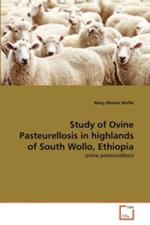 Study of Ovine Pasteurellosis in highlands of South Wollo, Ethiopia