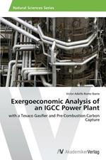 Exergoeconomic Analysis of an IGCC Power Plant