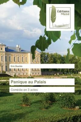 Panique Au Palais - Baelde-E - cover