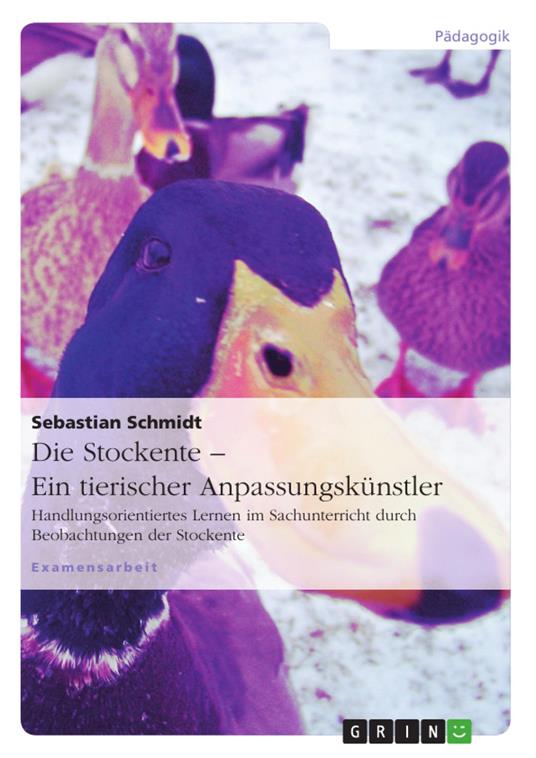 Die Stockente – ein tierischer Anpassungskünstler