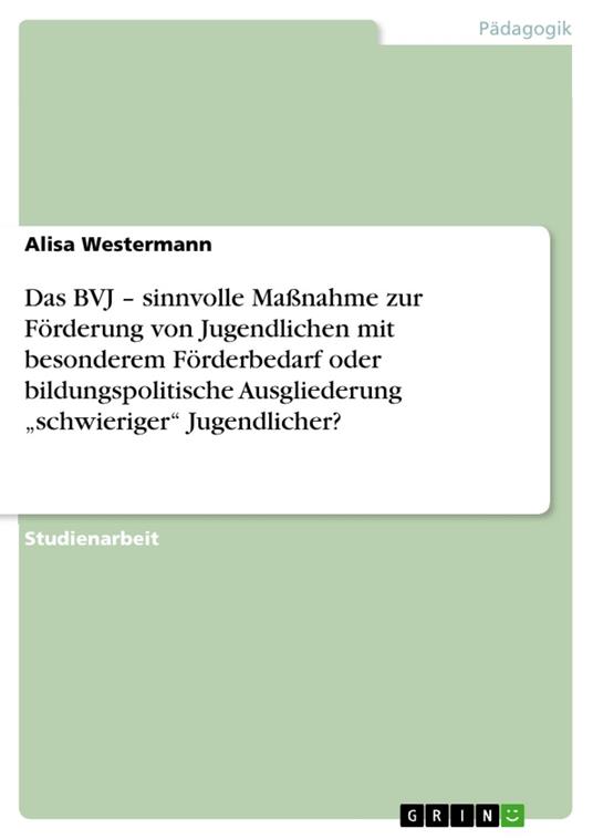Das BVJ – sinnvolle Maßnahme zur Förderung von Jugendlichen mit besonderem Förderbedarf oder bildungspolitische Ausgliederung „schwieriger“ Jugendlicher?