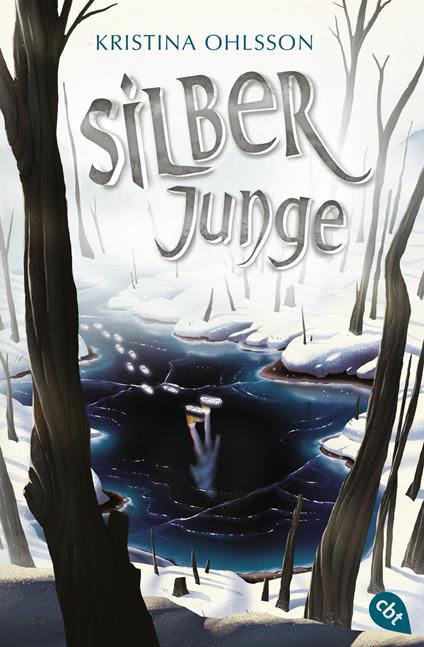 Silberjunge - Kristina Ohlsson,Susanne Dahmann - ebook