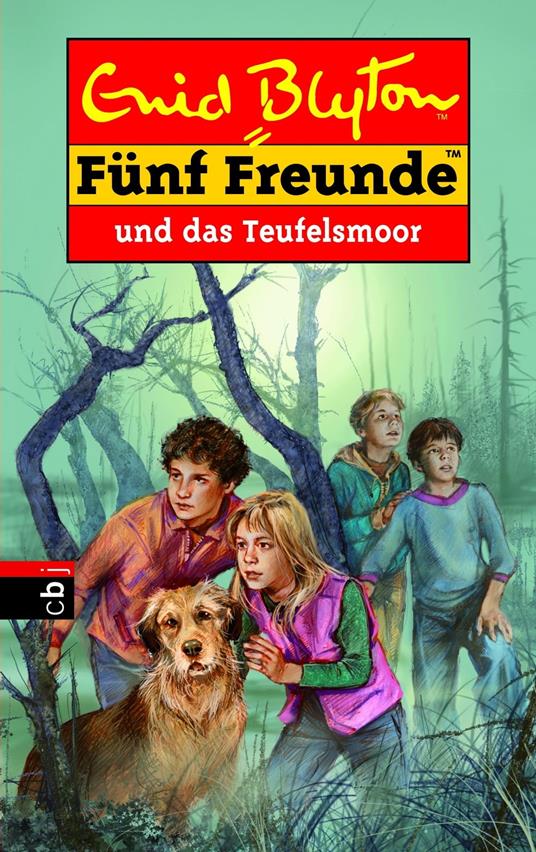 Fünf Freunde und das Teufelsmoor - Enid Blyton,Silvia Christoph - ebook