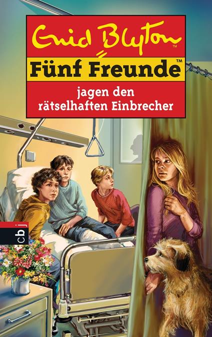 Fünf Freunde jagen den rätselhaften Einbrecher - Enid Blyton,Bernhard Förth - ebook