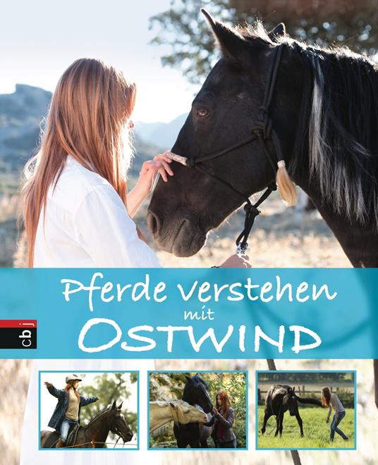 Pferde verstehen mit Ostwind - Almut Schmidt - ebook