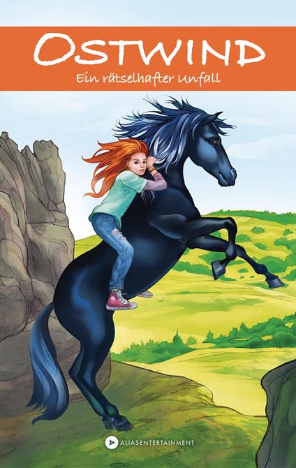 Ostwind - Ein rätselhafter Unfall - Rosa Schwarz - ebook