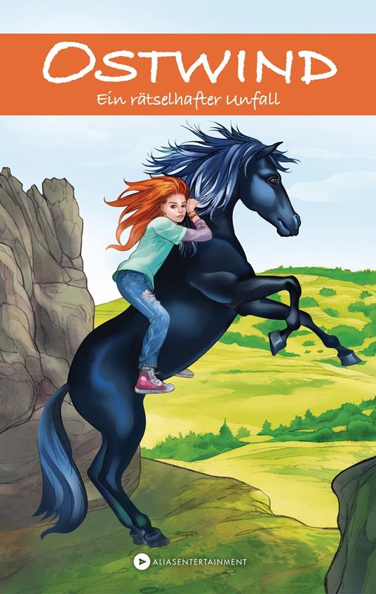 Ostwind - Ein rätselhafter Unfall - Rosa Schwarz - ebook