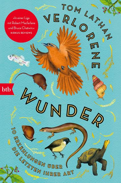 Verlorene Wunder