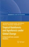 Tropical Rainforests and Agroforests under Global Change: Ecological and Socio-economic Valuations - cover