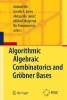 Algorithmic Algebraic Combinatorics and Gröbner Bases - cover