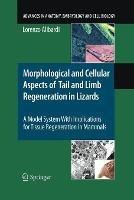Morphological and Cellular Aspects of Tail and Limb Regeneration in Lizards: A Model System With Implications for Tissue Regeneration in Mammals - Lorenzo Alibardi - cover