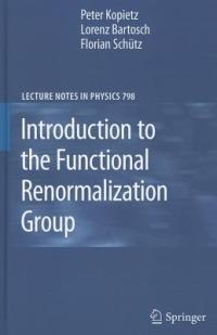 Introduction to the Functional Renormalization Group - Peter Kopietz,Lorenz Bartosch,Florian Schütz - cover