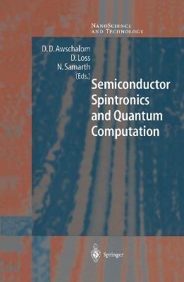Semiconductor Spintronics and Quantum Computation - cover