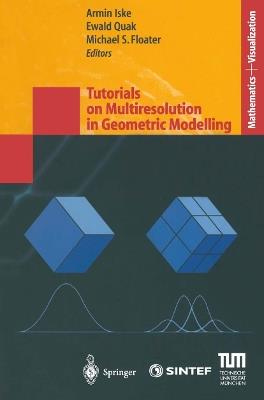 Tutorials on Multiresolution in Geometric Modelling: Summer School Lecture Notes - cover