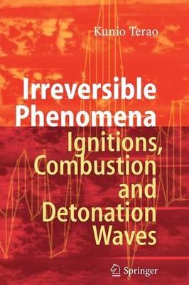 Irreversible Phenomena: Ignitions, Combustion and Detonation Waves - Kunio Terao - cover