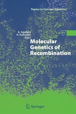 Molecular Genetics of Recombination - cover