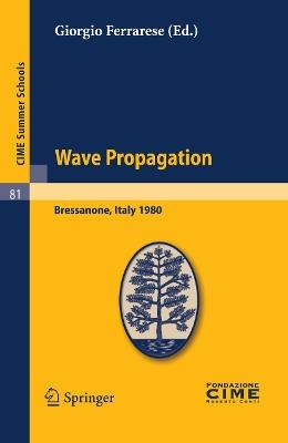 Wave Propagation: Lectures given at a Summer School of the Centro Internazionale Matematico Estivo (C.I.M.E.) held in Bressanone (Bolzano), Italy, June 8-17, 1980 - cover