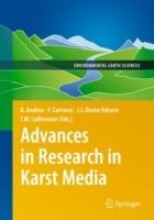Advances in Research in Karst Media - cover