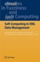 Soft Computing in XML Data Management: Intelligent Systems from Decision Making to Data Mining, Web Intelligence and Computer Vision - cover