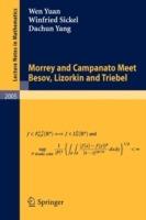 Morrey and Campanato Meet Besov, Lizorkin and Triebel