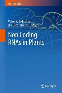 Non Coding RNAs in Plants - cover
