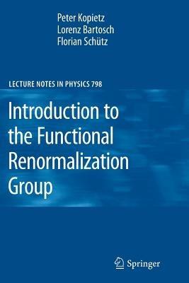 Introduction to the Functional Renormalization Group - Peter Kopietz,Lorenz Bartosch,Florian Schütz - cover