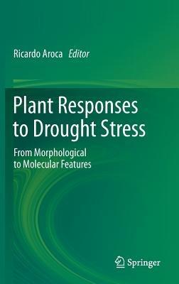 Plant Responses to Drought Stress: From Morphological to Molecular Features - cover