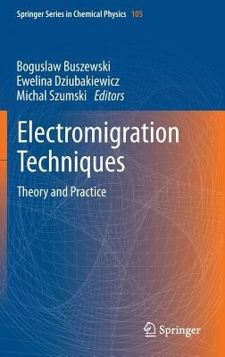 Electromigration Techniques: Theory and Practice - cover