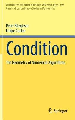 Condition: The Geometry of Numerical Algorithms - Peter Bürgisser,Felipe Cucker - cover