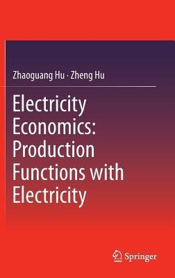 Electricity Economics: Production Functions with Electricity - Zhaoguang Hu,Zheng Hu - cover
