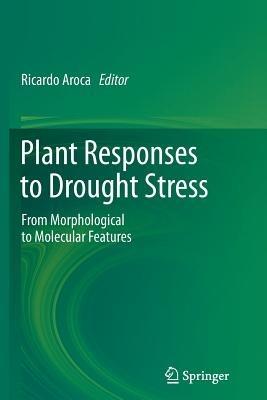 Plant Responses to Drought Stress: From Morphological to Molecular Features - cover