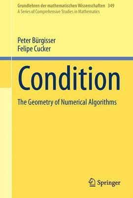 Condition: The Geometry of Numerical Algorithms - Peter Bürgisser,Felipe Cucker - cover