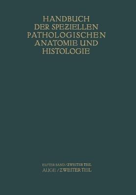 Auge: Zweiter Teil - G. Abelsdorff,A. Elschnig,S. Ginsberg - cover