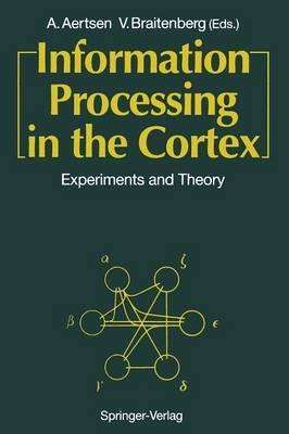 Information Processing in the Cortex: Experiments and Theory - cover