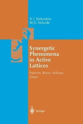 Synergetic Phenomena in Active Lattices: Patterns, Waves, Solitons, Chaos - Vladimir I. Nekorkin,M. G. Velarde - cover